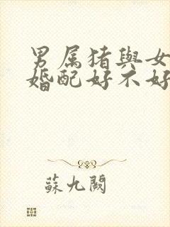 男属猪与女属兔婚配好不好