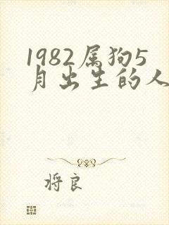 1982属狗5月出生的人命运怎么样
