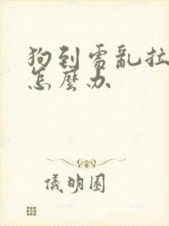 狗到处乱拉乱尿怎么办