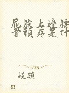 屁股上边腰下边骨头疼是什么原因