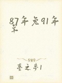 87年兔91年羊封面
