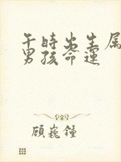 午时出生属牛的男孩命运