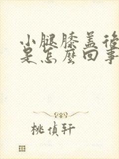 小腿膝盖后筋疼是怎么回事