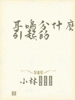 耳鸣分什么原因引起的