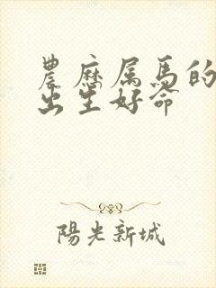 农历属马的几月出生好命