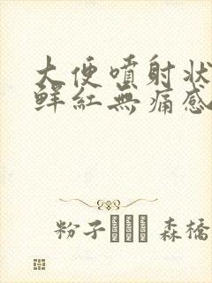 大便喷射状带血鲜红无痛感