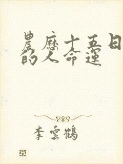 农历十五日出生的人命运封面