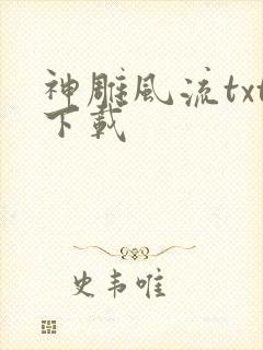 神雕风流txt下载