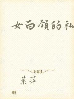 女白领的私生活封面