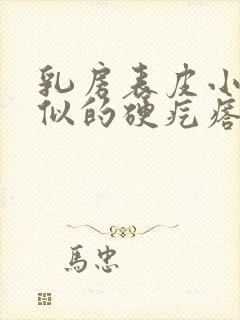 乳房表皮小豆子似的硬疙瘩