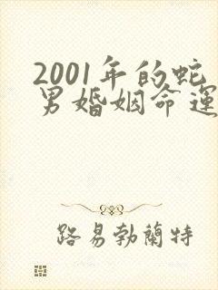 2001年的蛇男婚姻命运状况