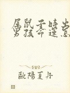 属鼠子时出生的男孩命运怎么样