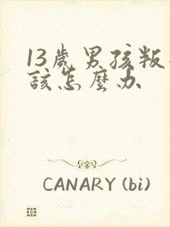 13岁男孩叛逆该怎么办封面