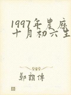 1997年农历十月初六生男孩命运怎么样