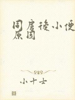 同房后小便刺痛原因