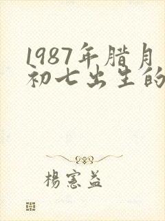 1987年腊月初七出生的命运
