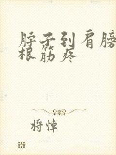 脖子到肩膀的一根筋疼