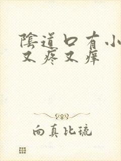 阴道口有小疙瘩又疼又痒