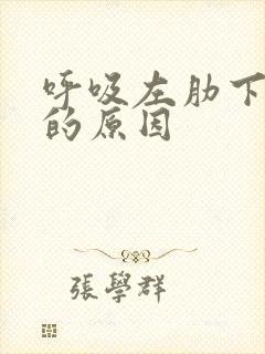 呼吸左肋下隐痛的原因