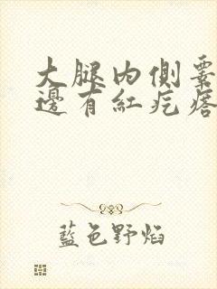 大腿内侧睾丸旁边有红疙瘩痛怎么办