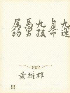 属马九月九出生的男孩命运