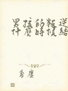 男孩的叛逆期是什么时候结束封面