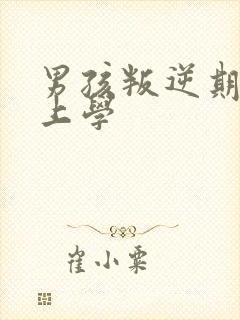 男孩叛逆期不愿上学封面