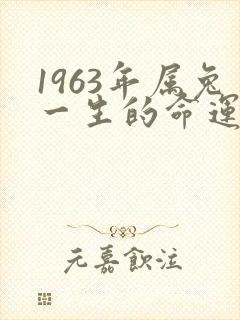 1963年属兔一生的命运怎么样