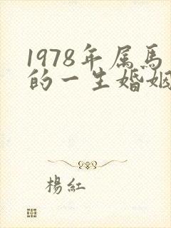 1978年属马的一生婚姻爱情