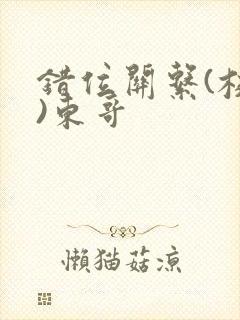 错位关系(校园)东哥