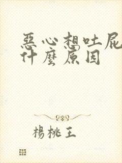 恶心想吐屁多是什么原因