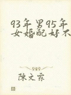 93年男95年女婚配好不好封面