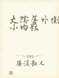 大阴唇外侧长了小肉粒封面