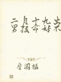 二月十九出生的男孩命好不好