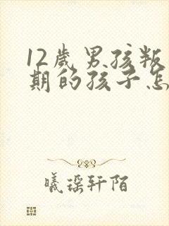 12岁男孩叛逆期的孩子怎么去引导