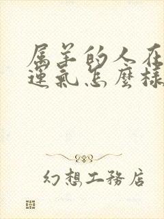 属羊的人在蛇年运气怎么样