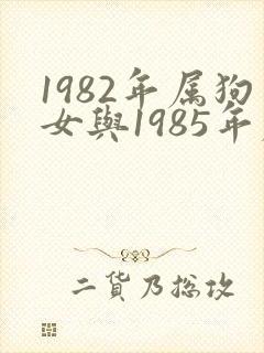 1982年属狗女与1985年属牛男婚配封面