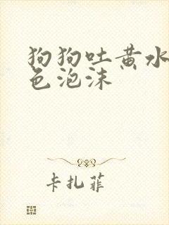 狗狗吐黄水带白色泡沫