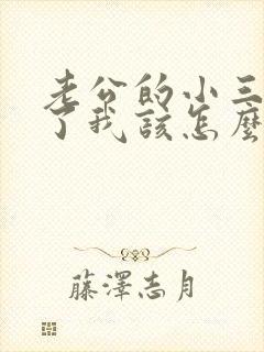 老公的小三怀孕了我该怎么办封面