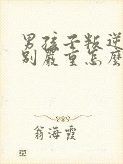 男孩子叛逆期特别严重怎么办封面