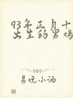 93年正月十四出生的男鸡命运封面