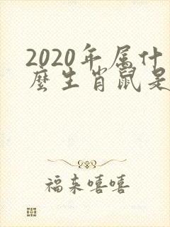 2020年属什么生肖鼠是什么命