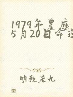 1979年农历5月20日命运
