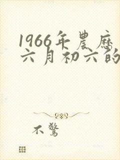 1966年农历六月初六的命运