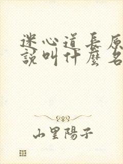 迷心道长原著小说叫什么名字