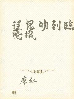 从昆明到临沧的飞机封面