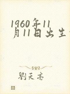 1960年11月11日出生的命运封面