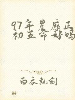 97年农历正月初五命好吗