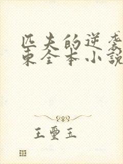 匹夫的逆袭刘汉东全本小说下载封面