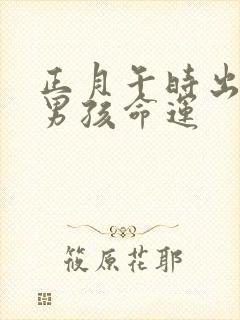 正月午时出生的男孩命运